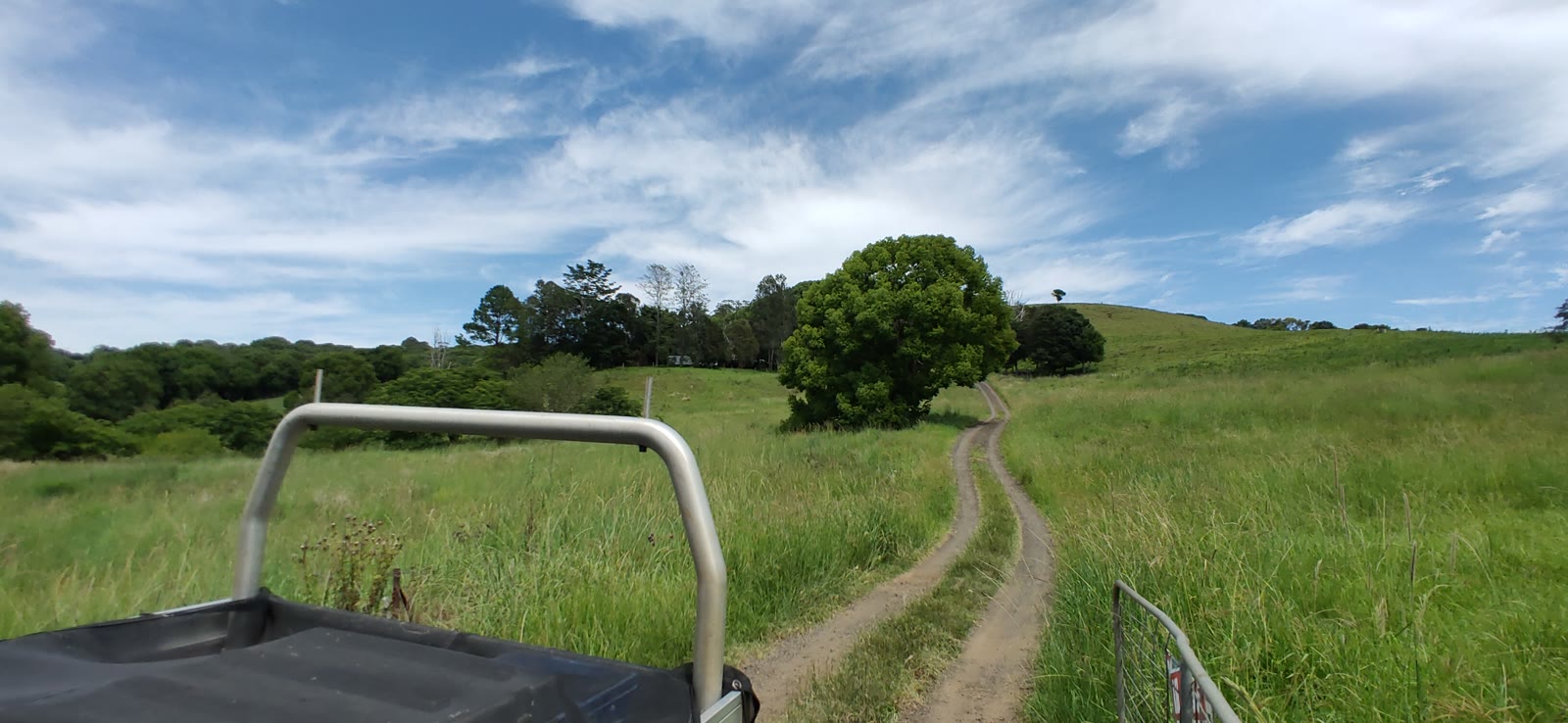Byron Bay farmland